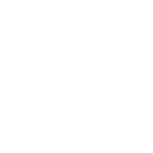 Squirrel Systems logo